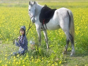 7000部蓝光电影免费看