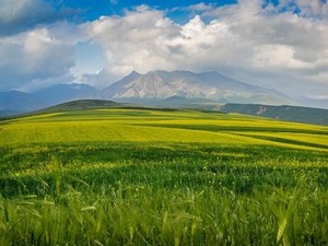 分娩生孩子过程视频